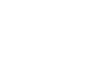 شريك 19